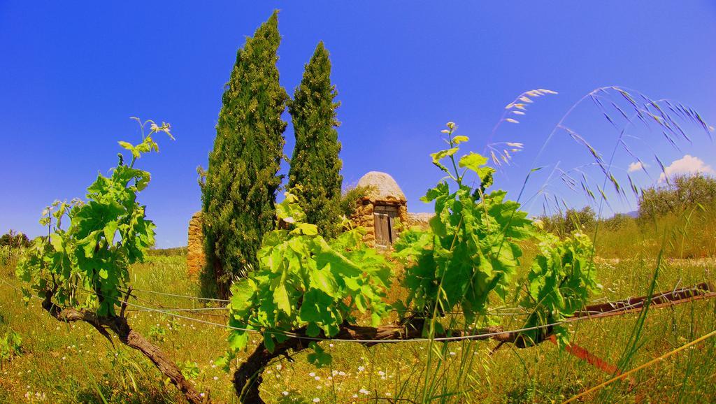 La Rivayne Bed and Breakfast Lourmarin Exteriör bild